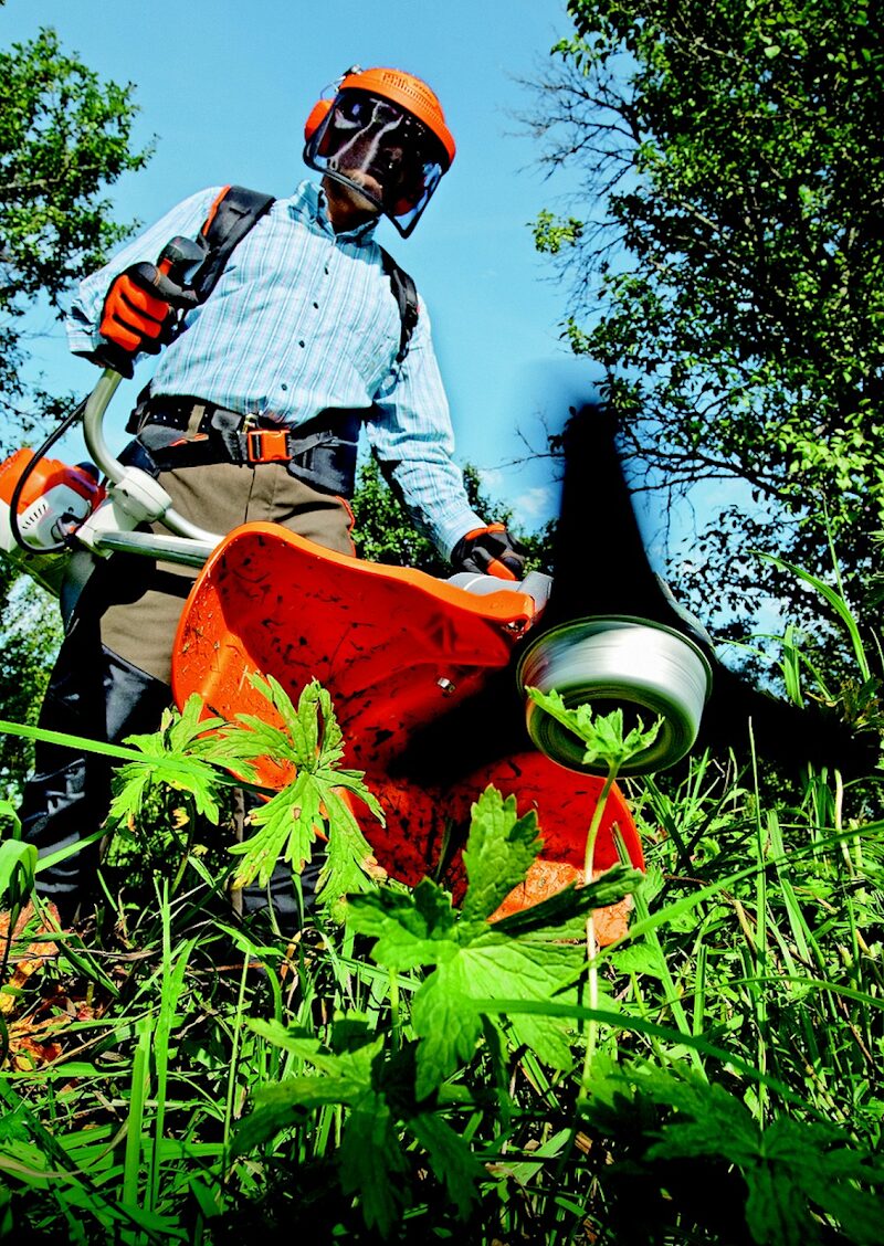 Imagen de Garbí Gardens