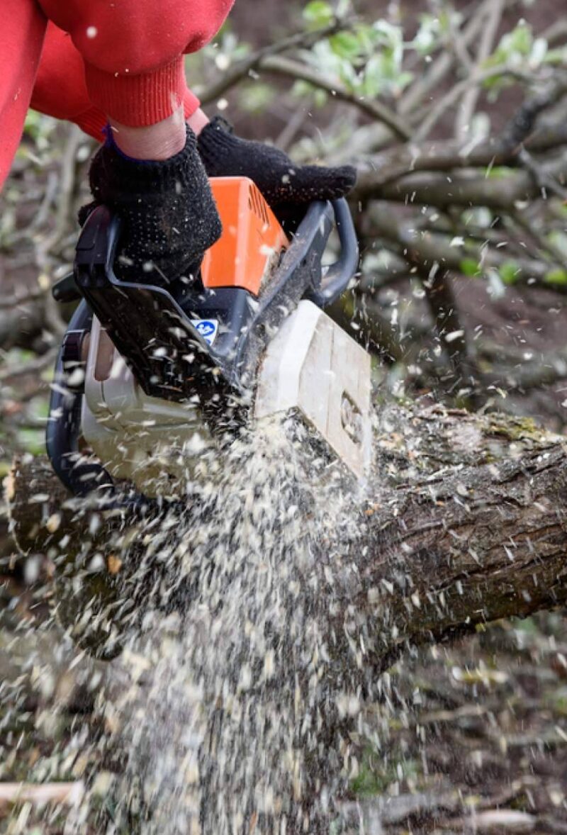 Imagen de Garbí Gardens