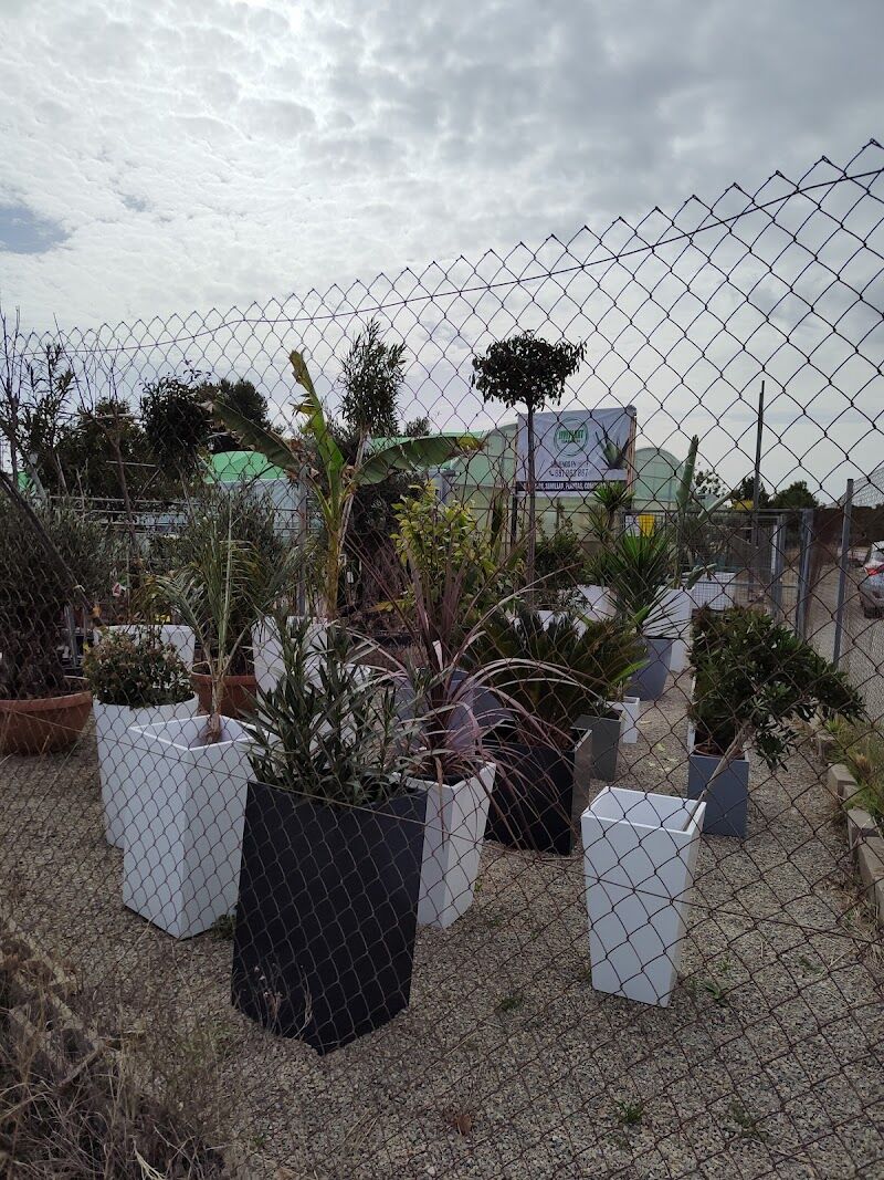 Imagen de negocio en Jardinería y exterior en Valencia
