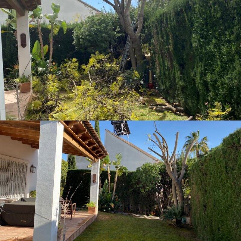 Imagen de Podas Patilla Valencia