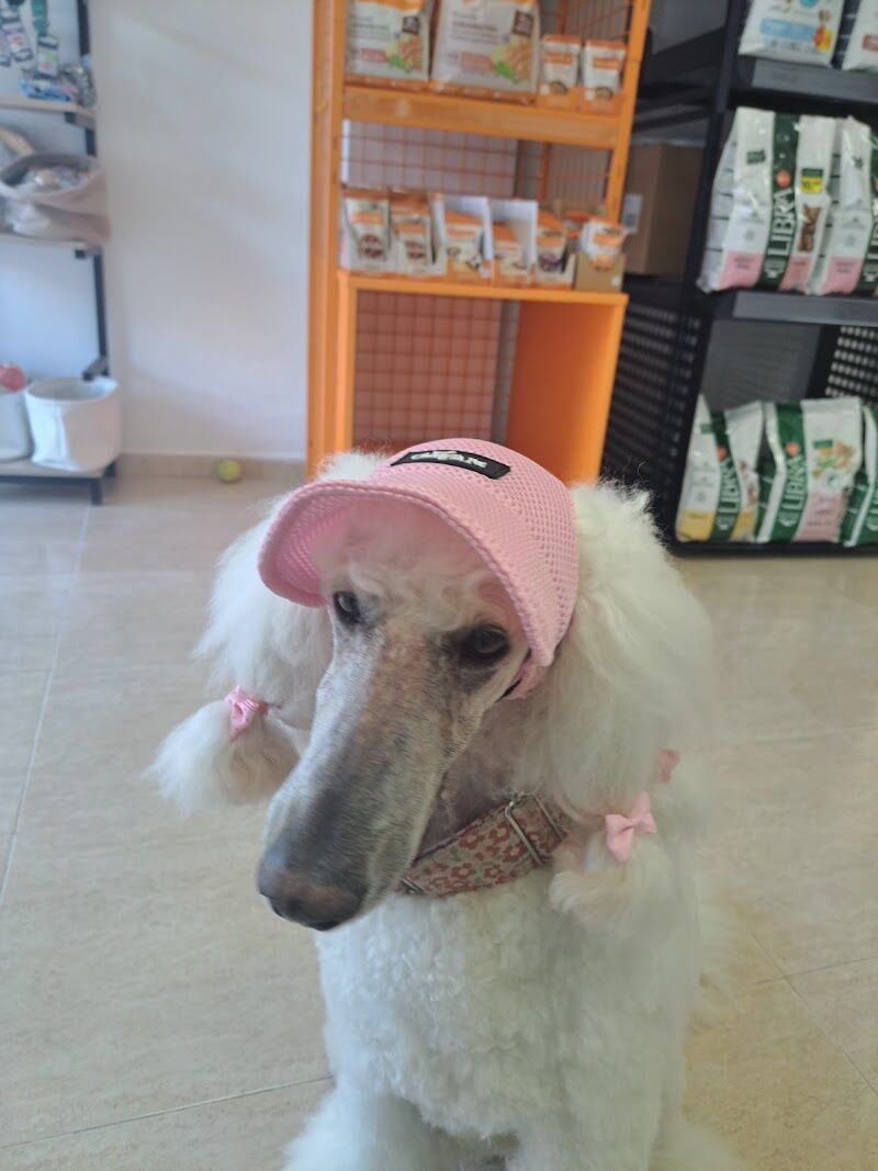 Imagen de negocio en Peluquería canina y felina en Xilxes