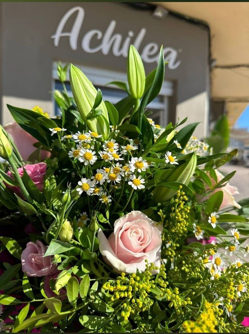 Imagen de Achilea. Floristería y Jardinería