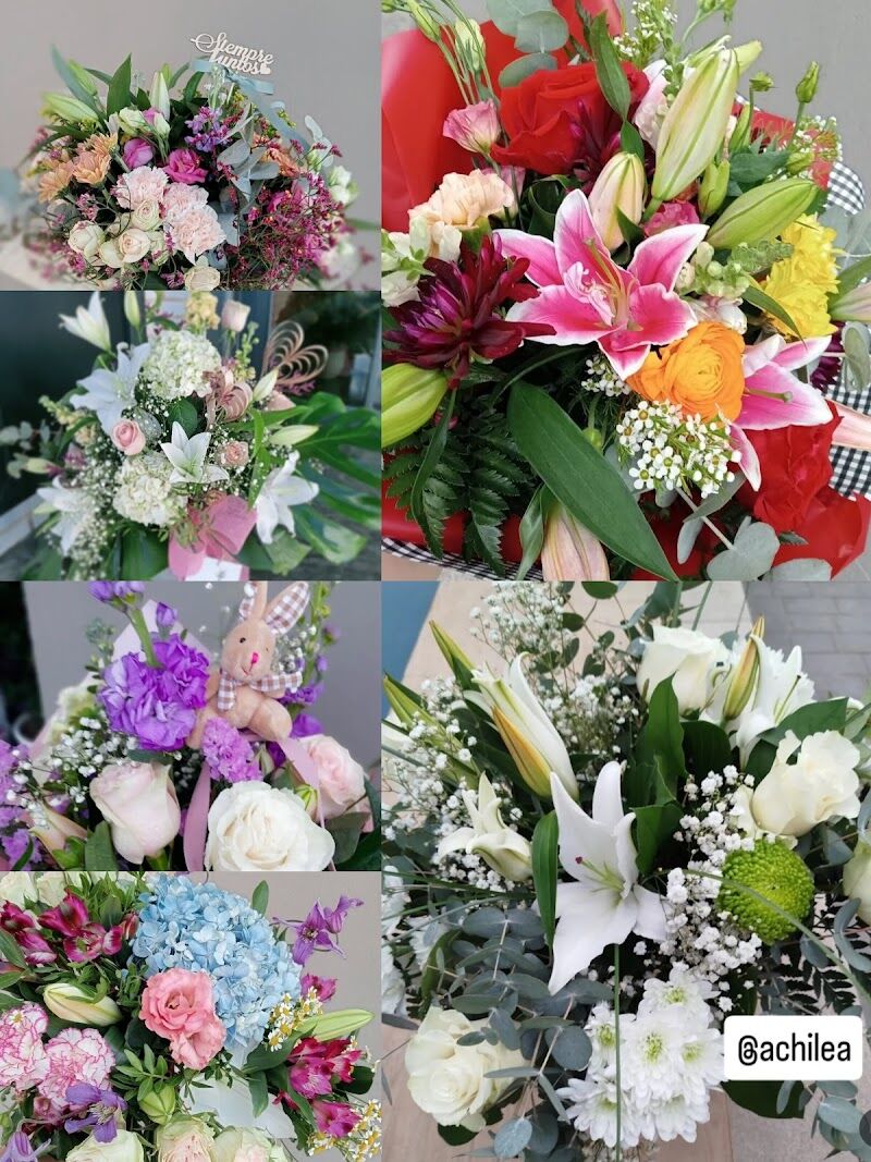 Imagen de Achilea. Floristería y Jardinería