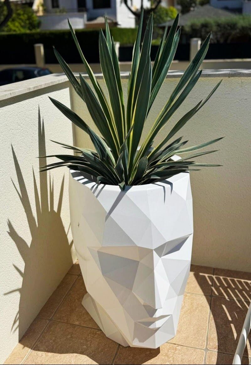 Imagen de Achilea. Floristería y Jardinería