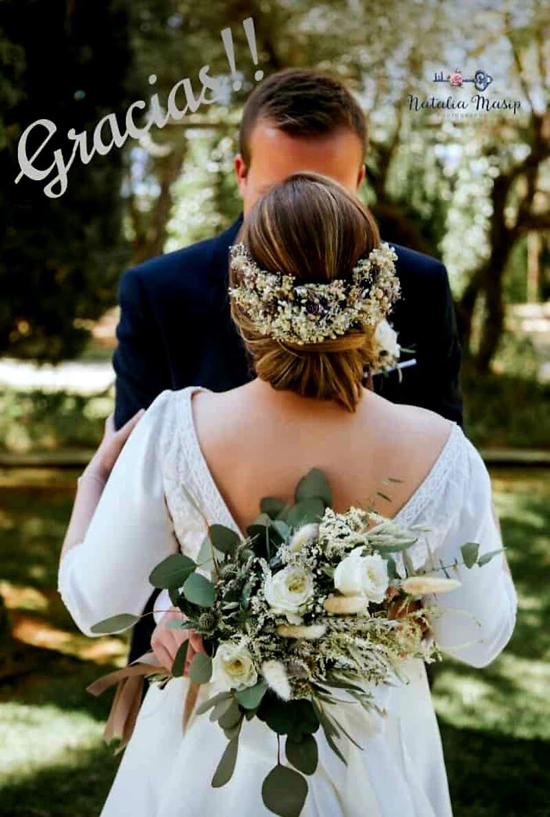 Imagen de Achilea. Floristería y Jardinería