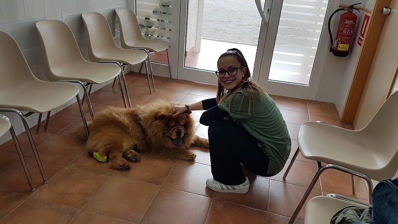 Imagen de negocio en Clínica veterinaria en Puzol