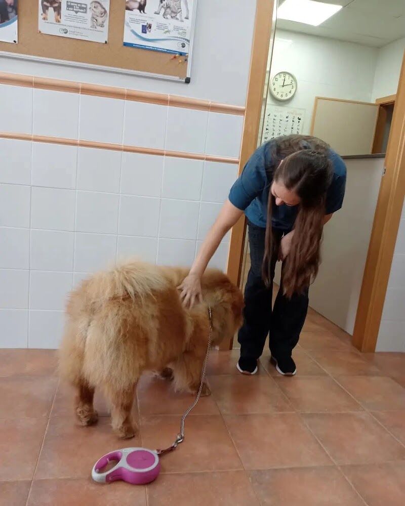 Imagen de Clínica Veterinaria Sorben
