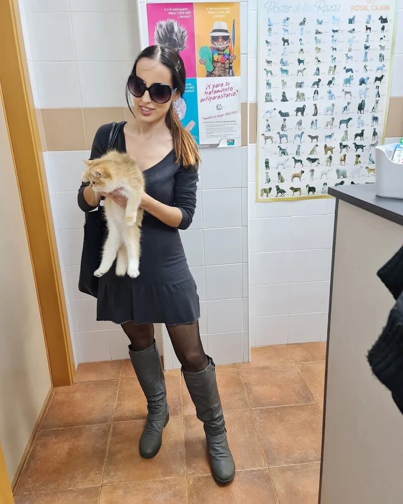 Imagen de Clínica Veterinaria Sorben