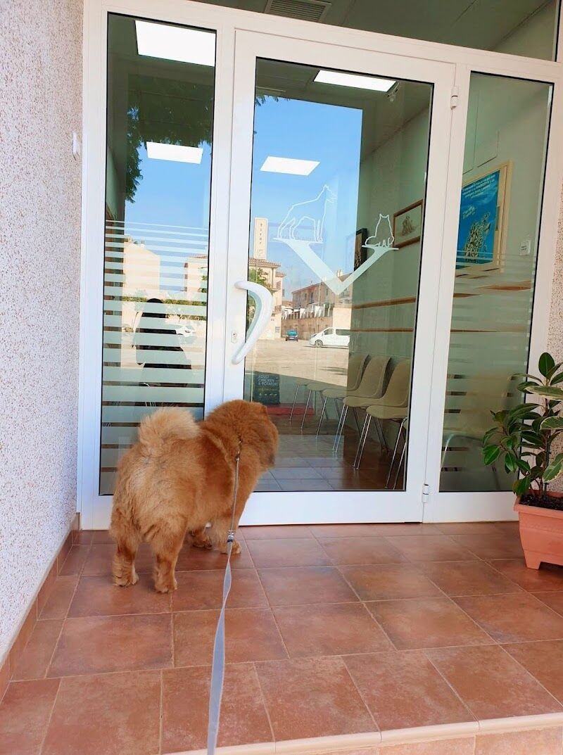 Imagen de Clínica Veterinaria Sorben