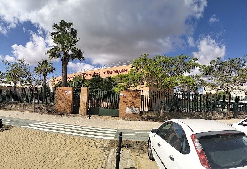 Imagen de Sadus – Servicio de Actividades Deportivas de la Universidad de Sevilla (bermejales)