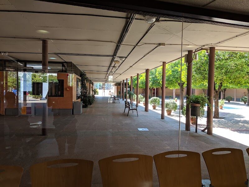 Imagen de Sadus – Servicio de Actividades Deportivas de la Universidad de Sevilla (bermejales)