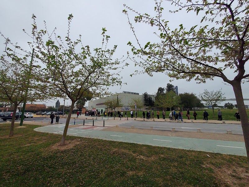 Imagen de Sadus – Servicio de Actividades Deportivas de la Universidad de Sevilla (bermejales)
