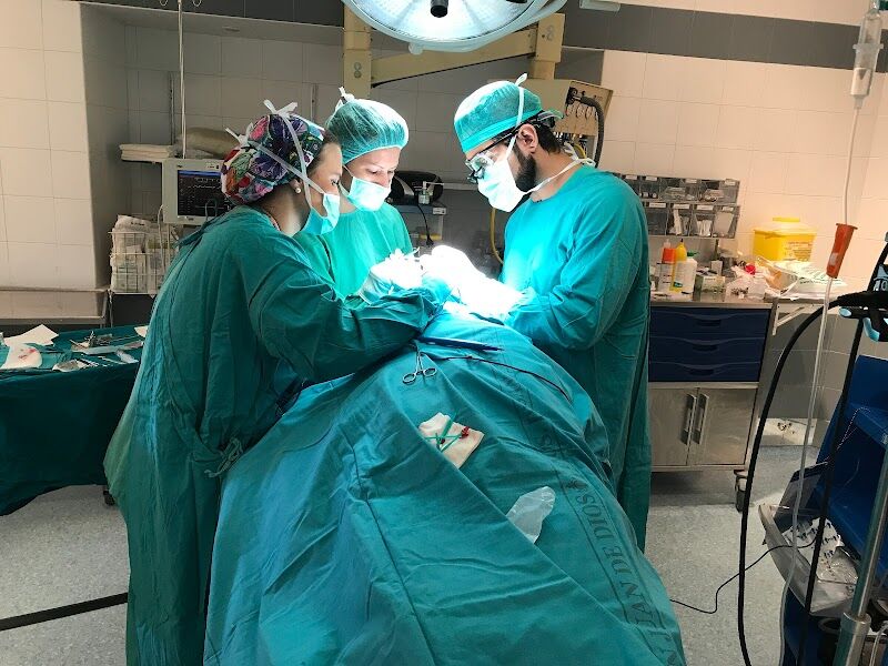 Imagen de negocio en Servicios de cirugía en Sevilla