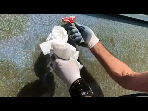 Imagen de Serinport Servicios Integrales