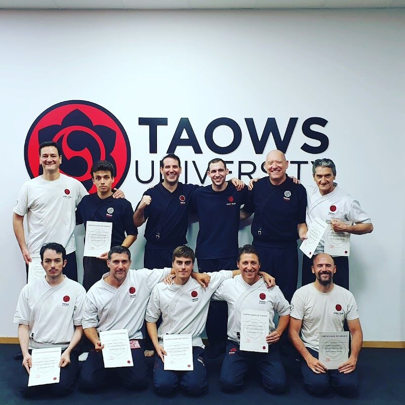 Imagen de Las Puertas del Dragón. Artes Marciales Aljarafe