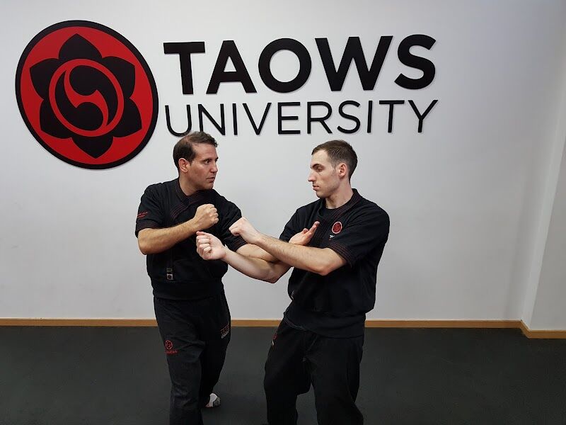 Imagen de Las Puertas del Dragón. Artes Marciales Aljarafe