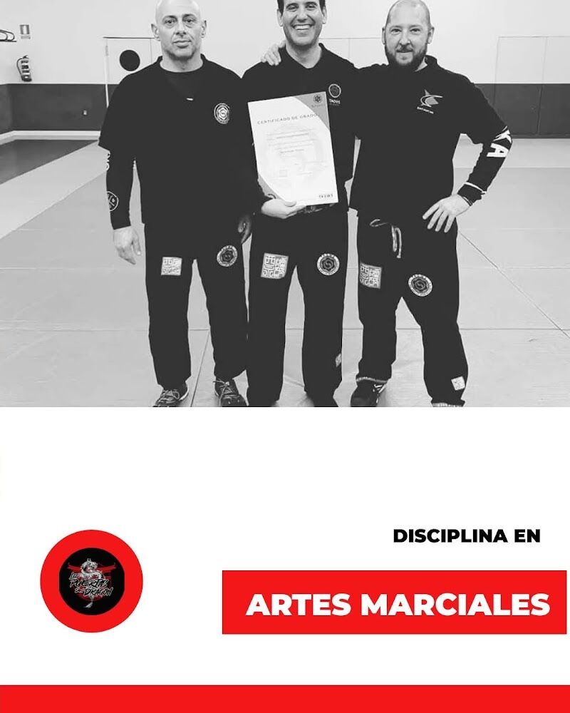 Imagen de Las Puertas del Dragón. Artes Marciales Aljarafe