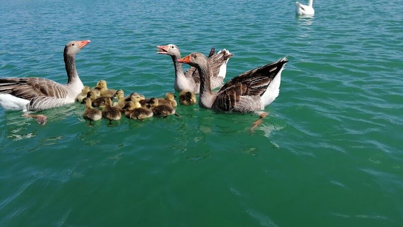 Imagen de Parque de las Graveras