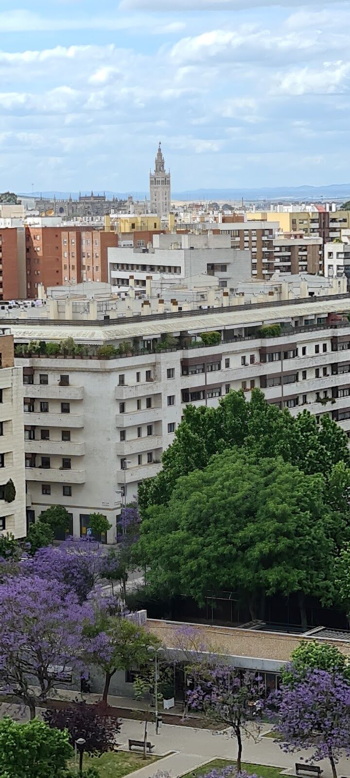 Imagen de Notaría álvarez Sánchez