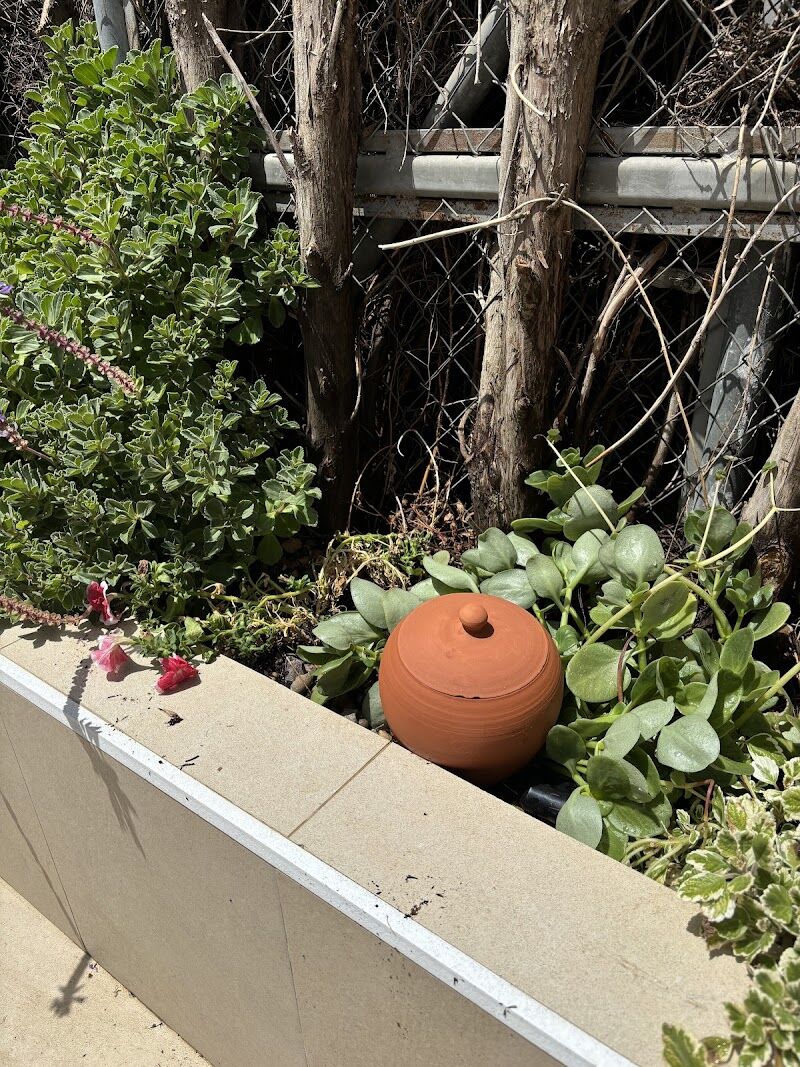 Imagen de Paisajismo y Jardinería Lajara