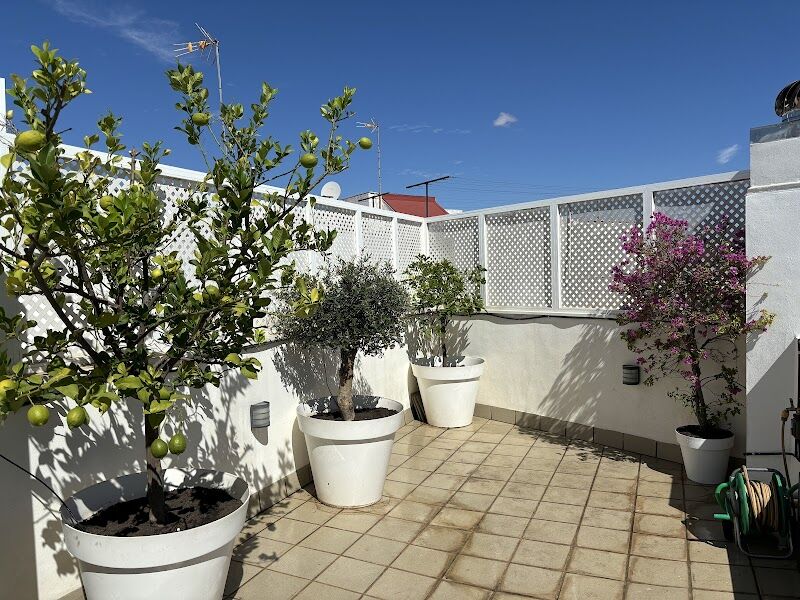 Imagen de Paisajismo y Jardinería Lajara