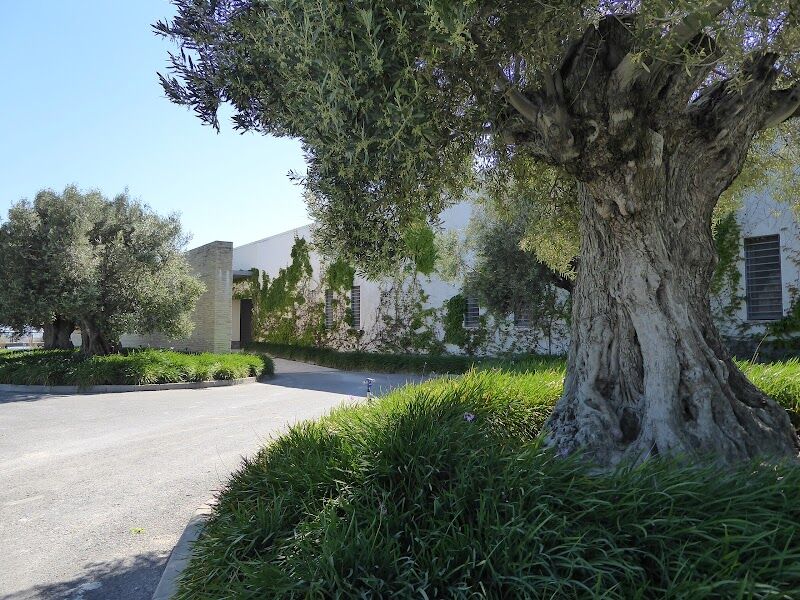 Imagen de Sonsoles Pérez Iriarte -estudio de Jardinería y Paisajismo