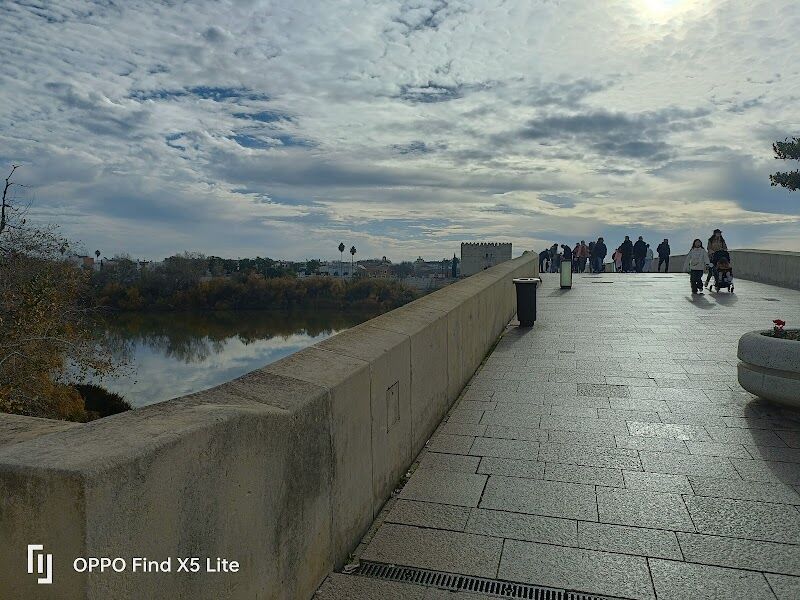 Imagen de Taxi Driver Sevilla