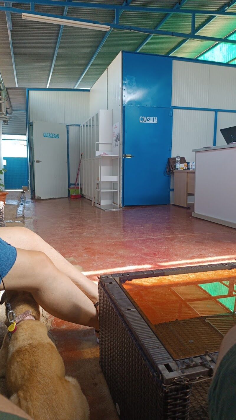 Imagen de Alma Libre Rescue