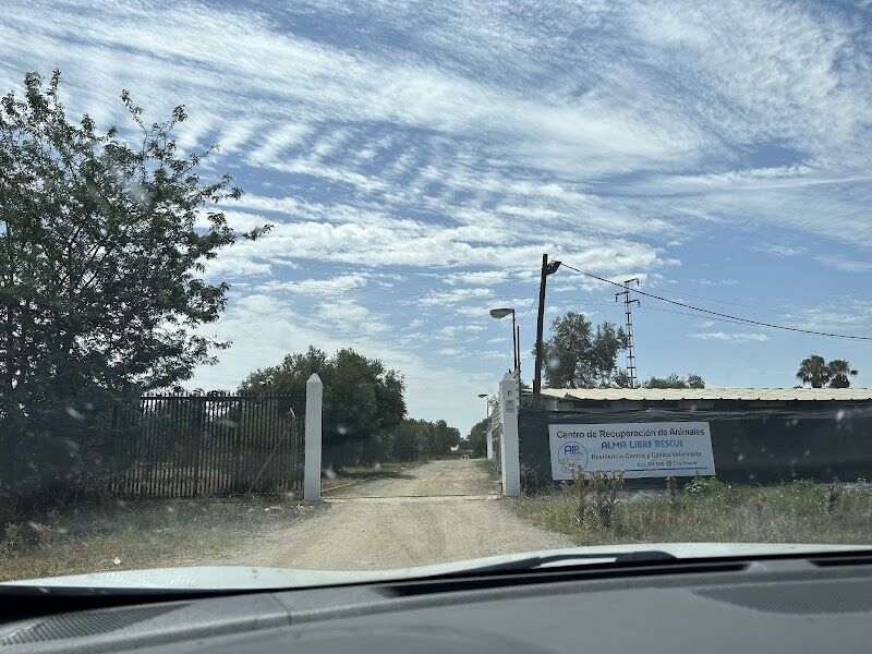 Imagen de Alma Libre Rescue