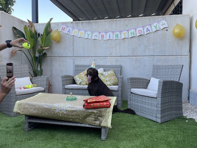 Imagen de Tiendanimal