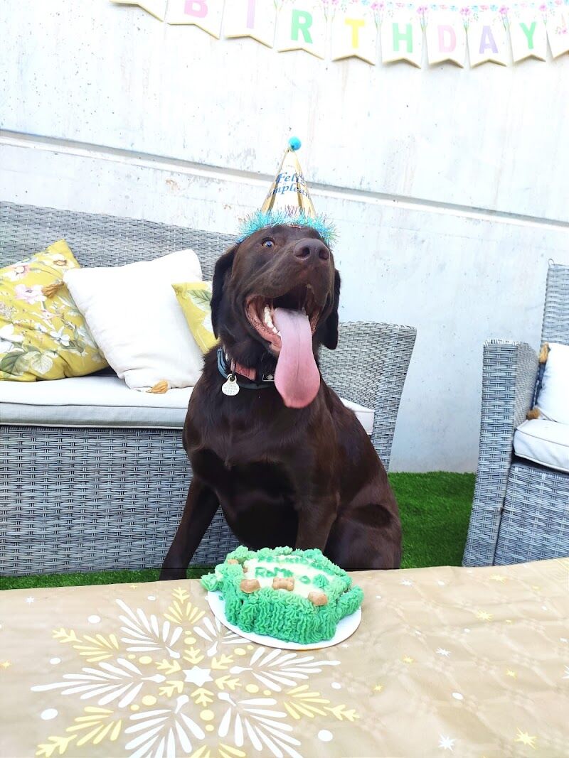 Imagen de Tiendanimal