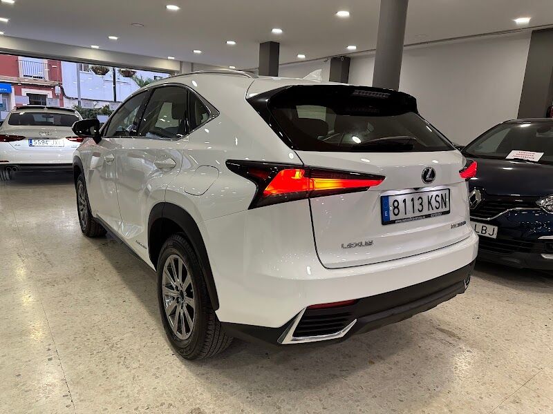 Imagen de Automoción Rivera