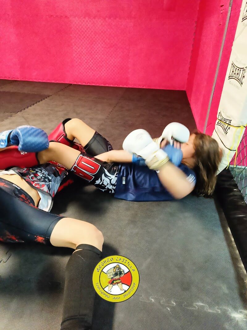 Imagen de Meguro Castilla Mma