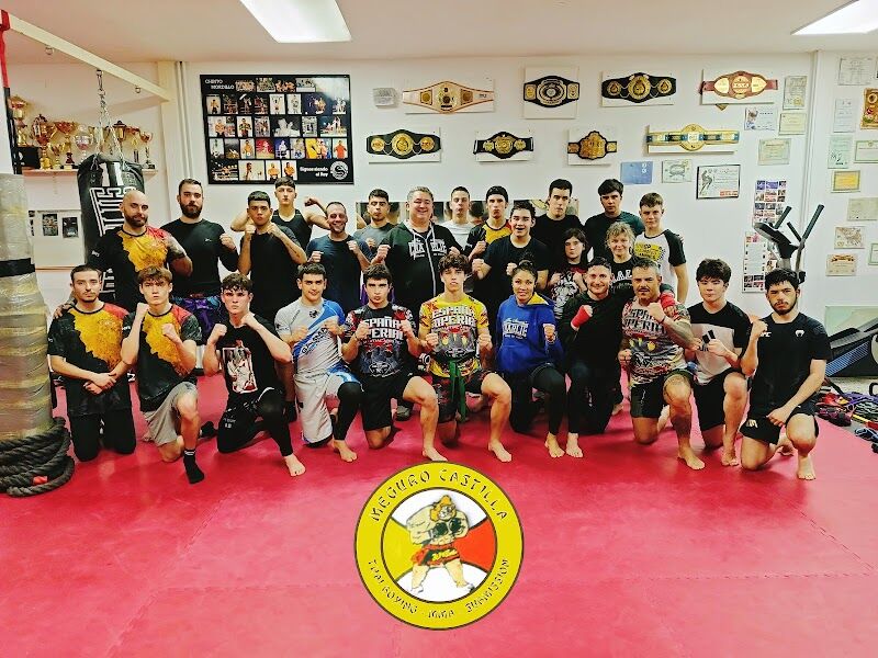 Imagen de Meguro Castilla Mma