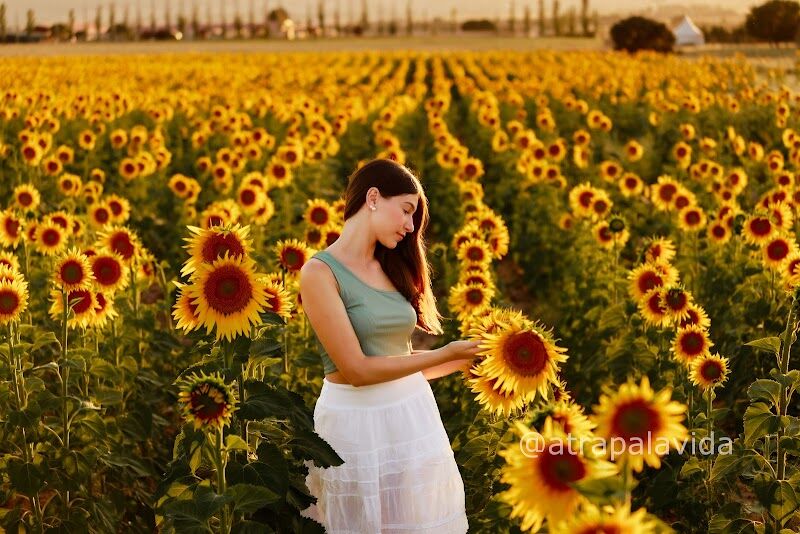 Imagen de Atrapa la Vida Fotografía