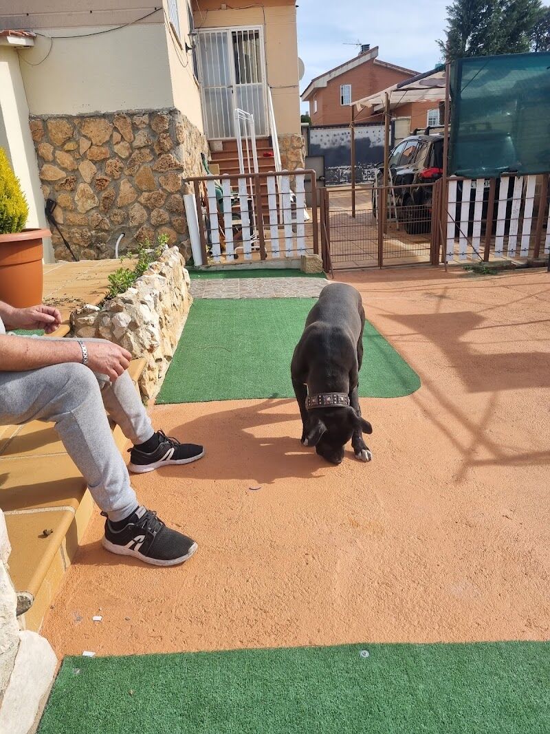 Imagen de Centro Canino Albores