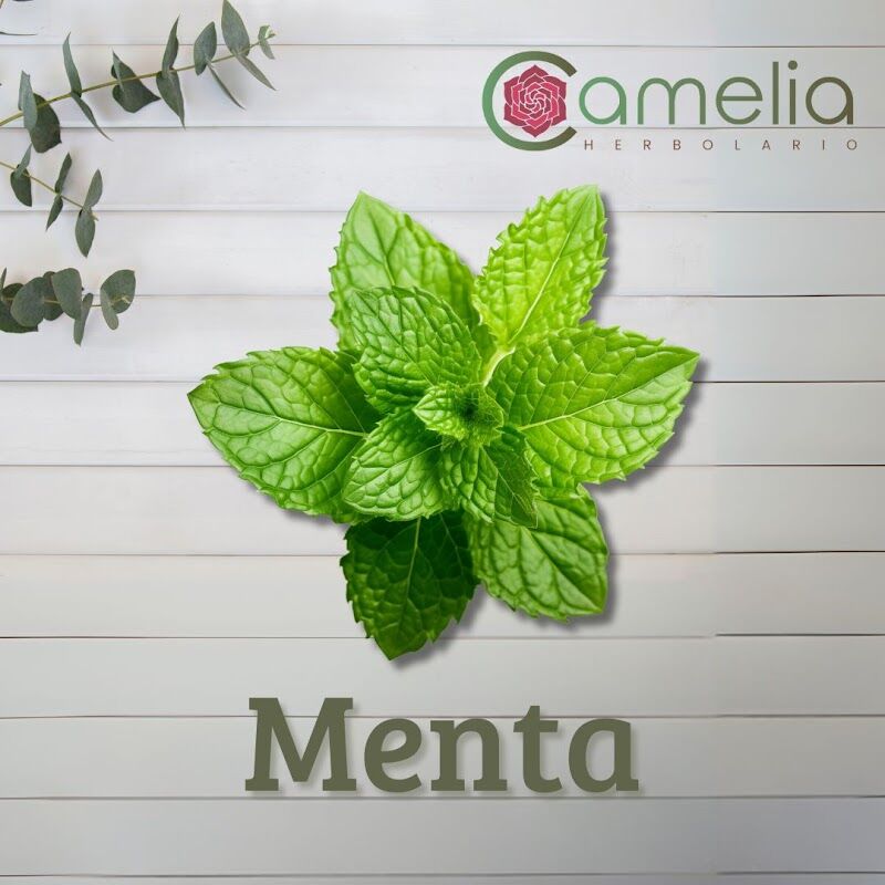 Imagen de Herbolario Camelia