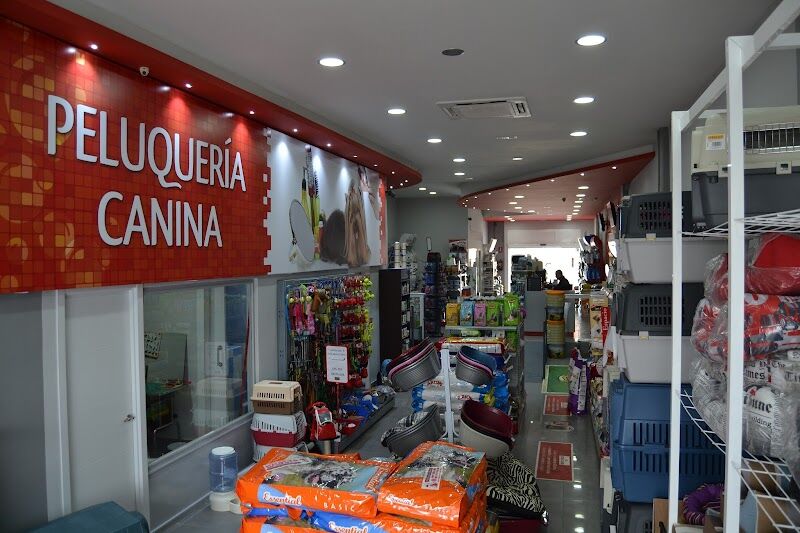 Imagen de Piensoadomicilio.es