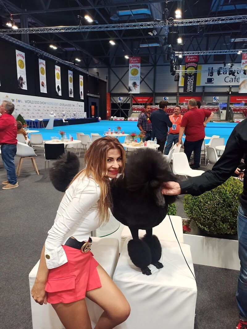 Imagen de Piensoadomicilio.es