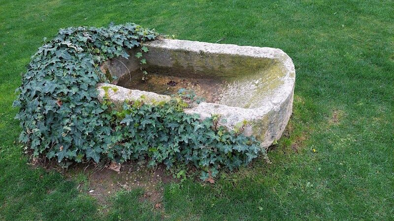 Imagen de Finca el Cañal