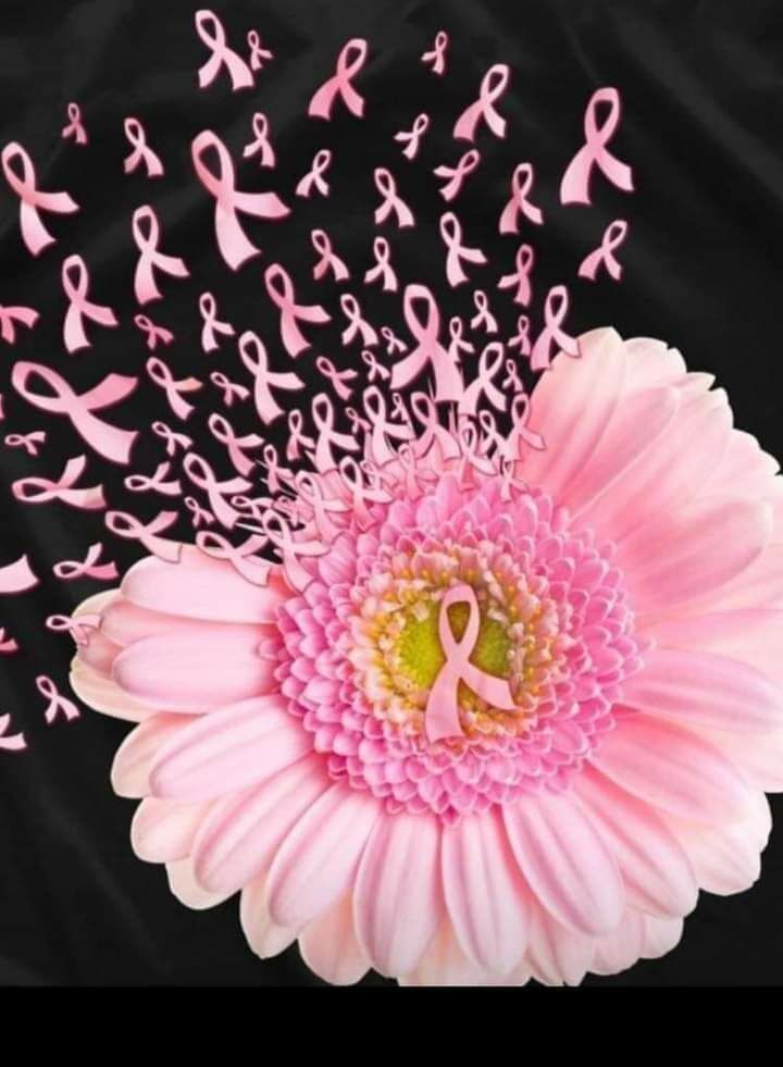 Imagen de Asociación Española Contra el Cáncer de Guadalajara – Aecc