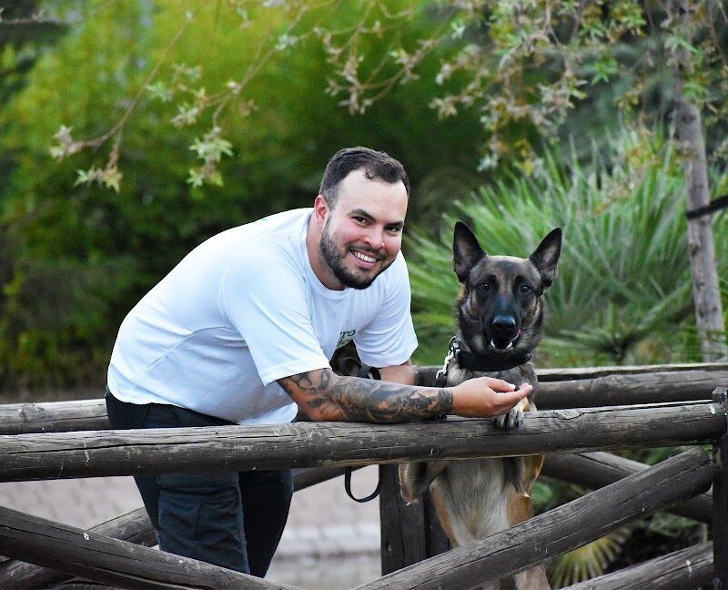 Imagen de Perro Ideal