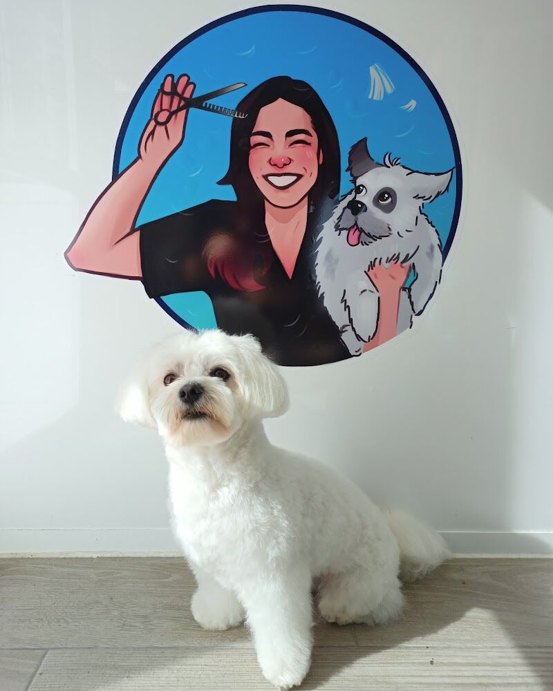 Imagen de Peluquería Canina Canine Stylist