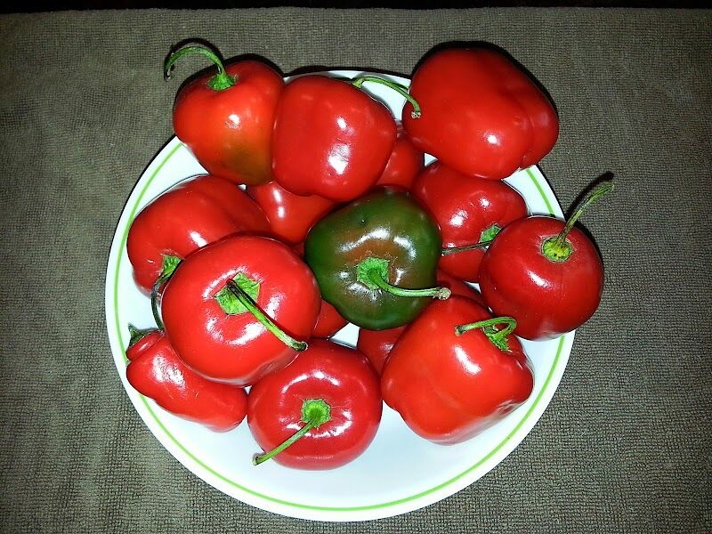 Imagen de Mipicanteria