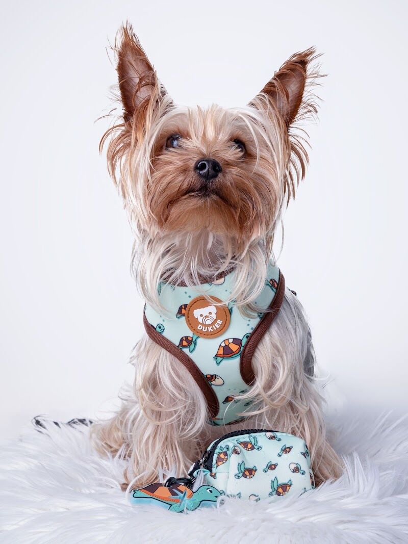 Imagen de Dukier – Tienda Online