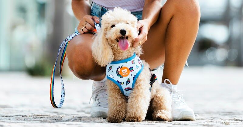 Imagen de Dukier – Tienda Online