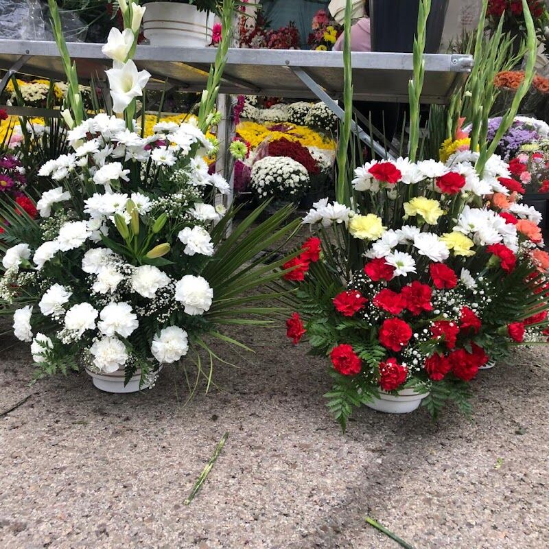 Imagen de Floristería Cynthia