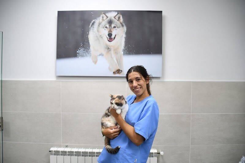 Imagen de Clínica Veterinaria Cobeña