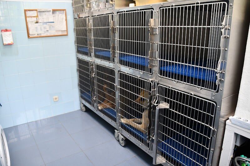 Imagen de Clínica Veterinaria Cobeña