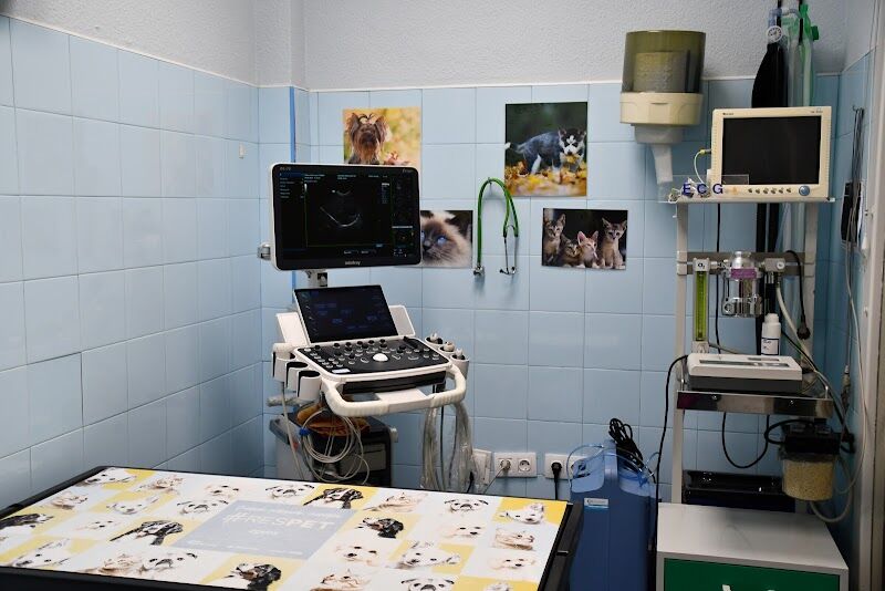 Imagen de Clínica Veterinaria Cobeña